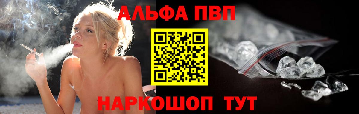 Alfa_PVP СК Губаха