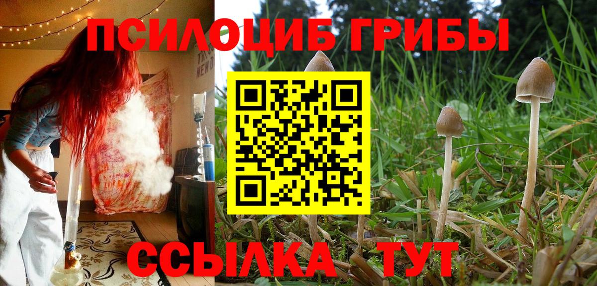Галлюциногенные грибы ЛСД  Вход с VPN  Губаха 